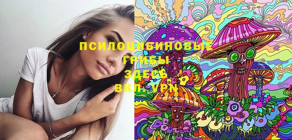 МДПВ Богданович