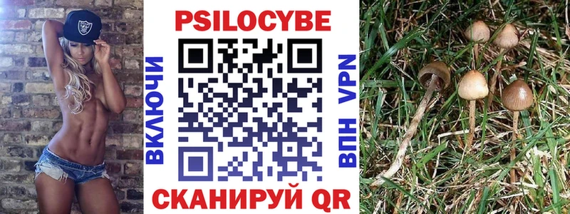 Галлюциногенные грибы Cubensis Воскресенск